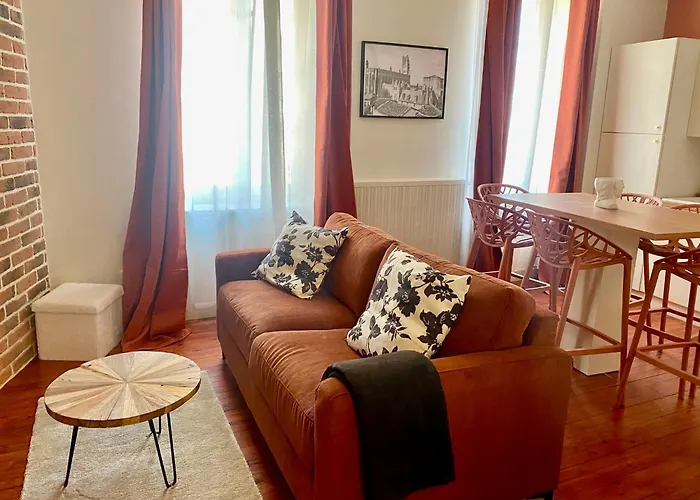 L\'Epinette - Appartement T3 Hypercentre Albi